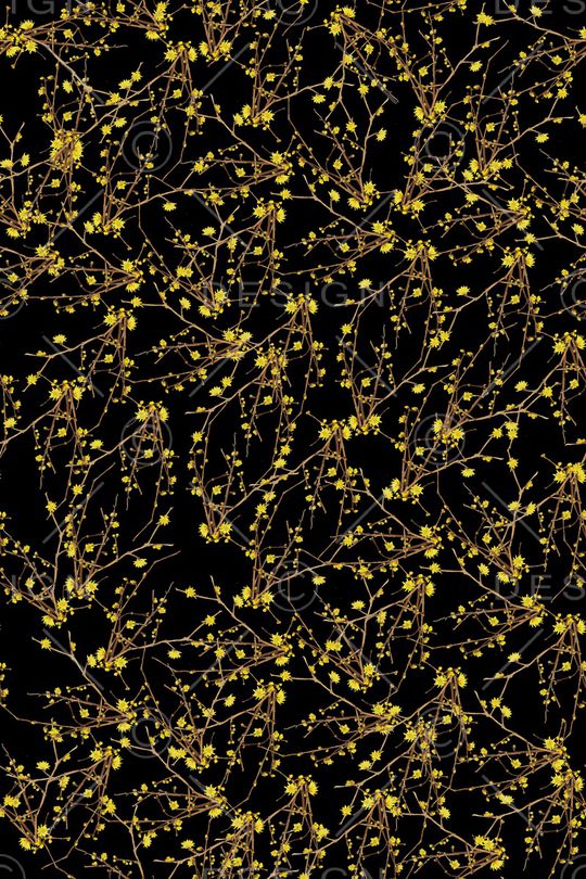 女装印花华亿平台图片