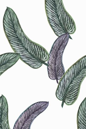 男装印花华亿平台图片