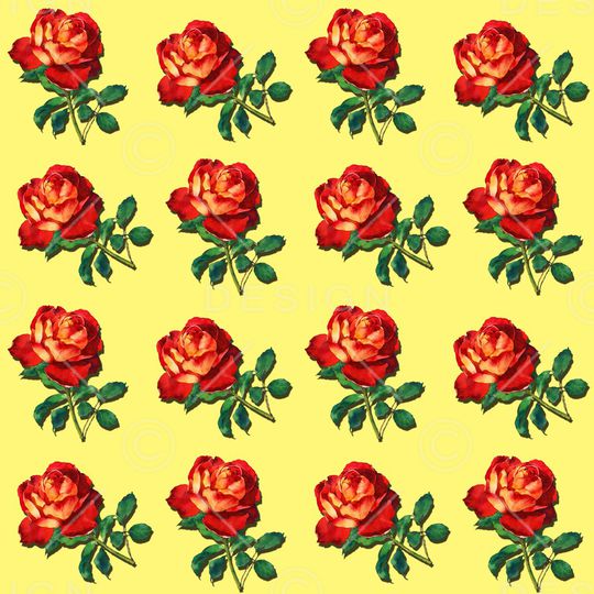 女装印花华亿平台图片