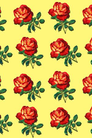 女装印花华亿平台图片