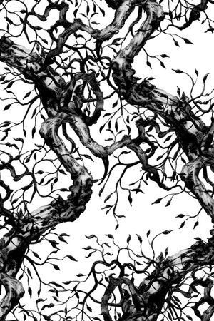 树印花华亿平台图片