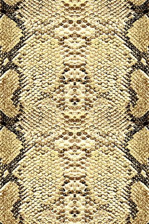 动物纹印花华亿平台图片