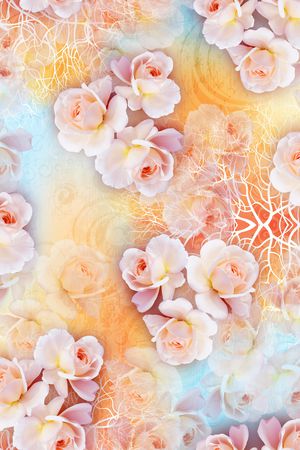 数码华亿平台印花华亿平台图片