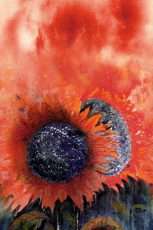 向日葵印花华亿平台图片