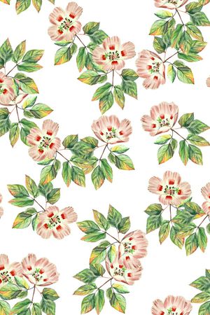 女装印花华亿平台图片