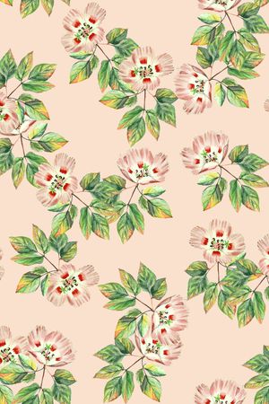 女装印花华亿平台图片