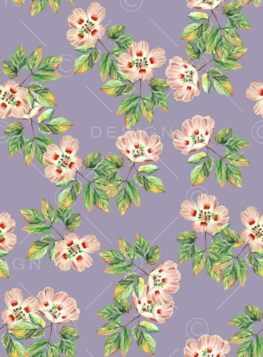 女装印花华亿平台图片