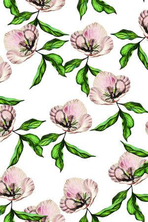 女装印花华亿平台图片