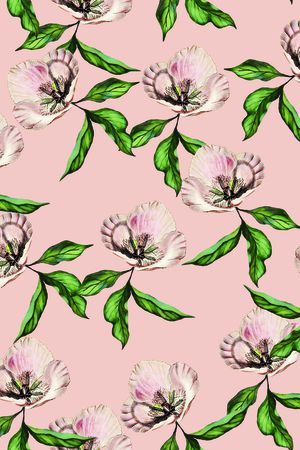 女装印花华亿平台图片