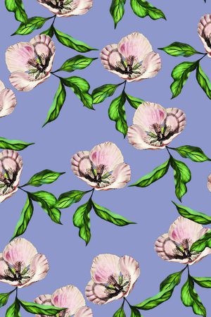 女装印花华亿平台图片