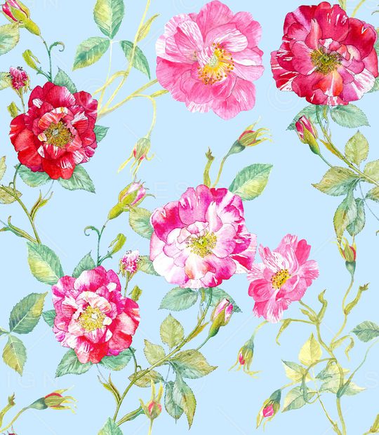 蔷薇花印花华亿平台图片