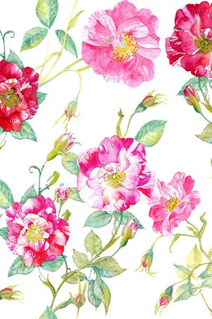 蔷薇花印花华亿平台图片