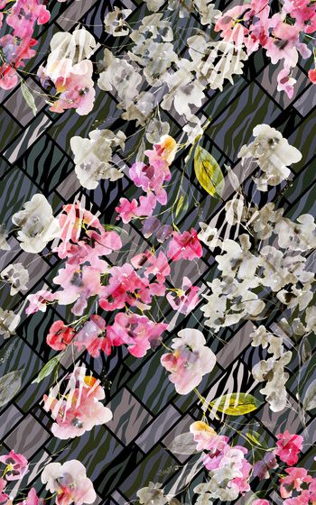 1205054-1964x40235-1