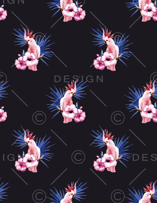 鹦鹉印花华亿平台图片