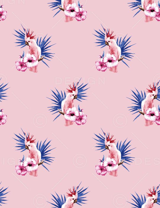 鹦鹉印花华亿平台图片