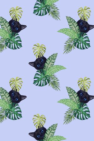 猫印花华亿平台图片