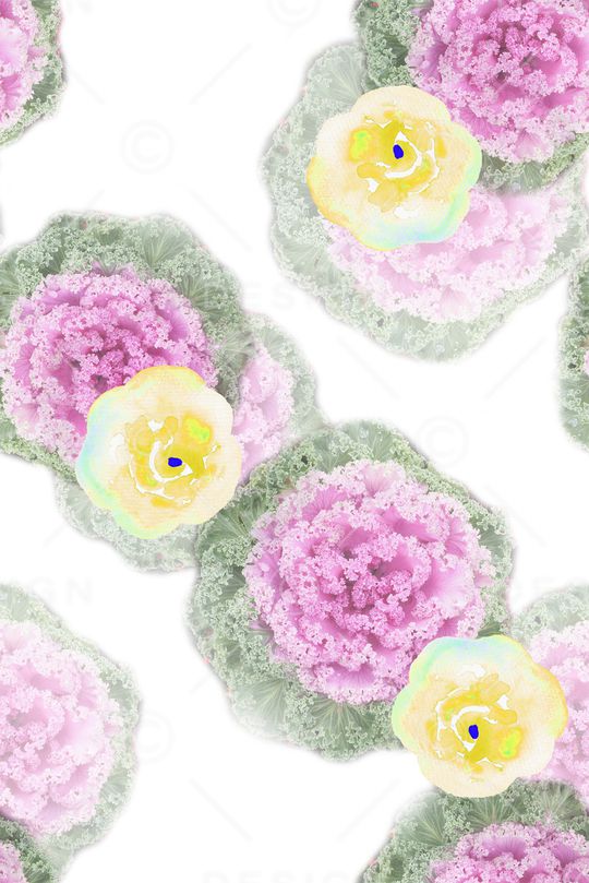 水彩花卉印花华亿平台图片