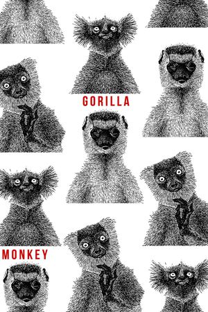 字母印花华亿平台图片