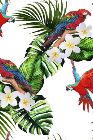 鹦鹉印花华亿平台图片