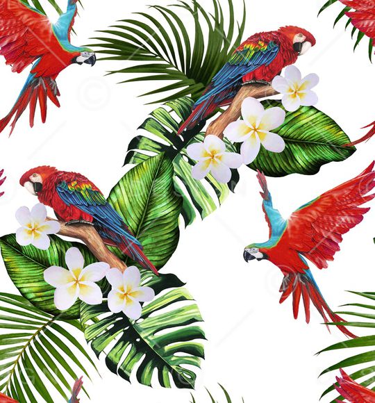 鹦鹉印花华亿平台图片