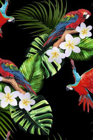 鹦鹉印花华亿平台图片