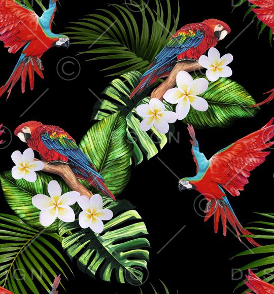 鹦鹉印花华亿平台图片