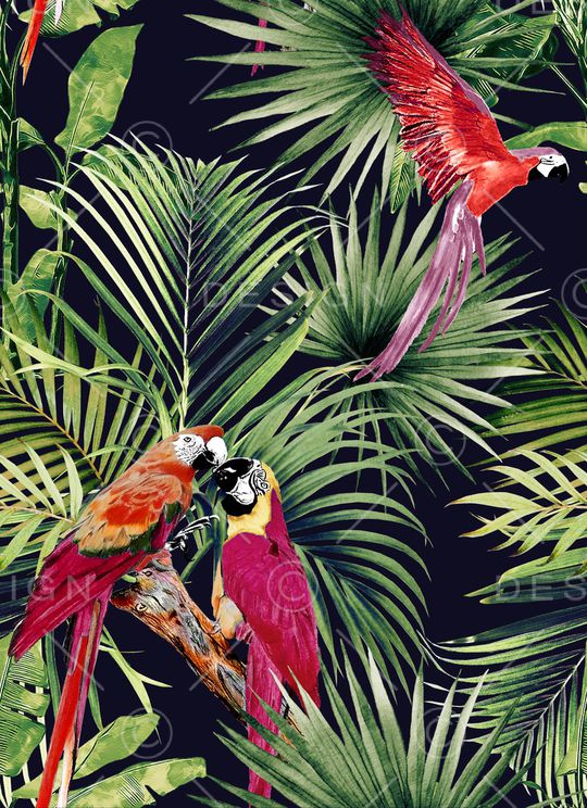 鹦鹉印花华亿平台图片