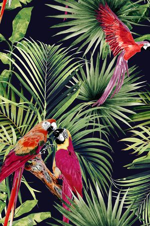 鹦鹉印花华亿平台图片