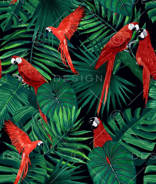 鹦鹉印花华亿平台图片