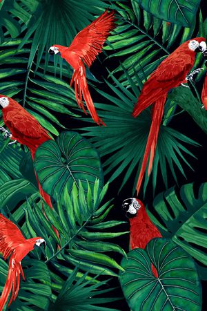 鹦鹉印花华亿平台图片