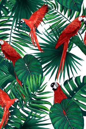 鹦鹉印花华亿平台图片