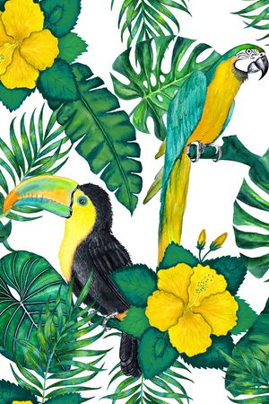 鹦鹉印花华亿平台图片