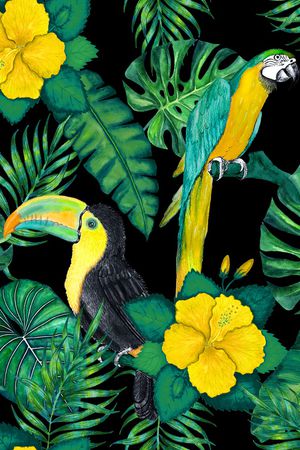 鹦鹉印花华亿平台图片