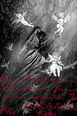 字母印花华亿平台图片