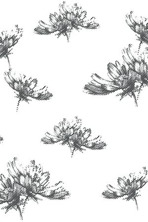 大牌风印花华亿平台图片