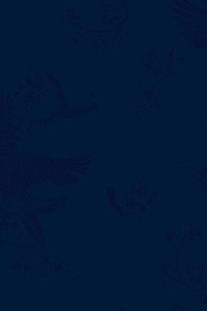 烂花华亿平台印花华亿平台图片