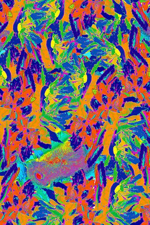 抽象印花华亿平台图片