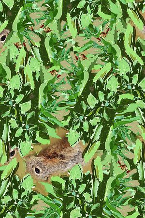 抽象印花华亿平台图片