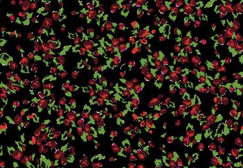 大牌风印花华亿平台图片