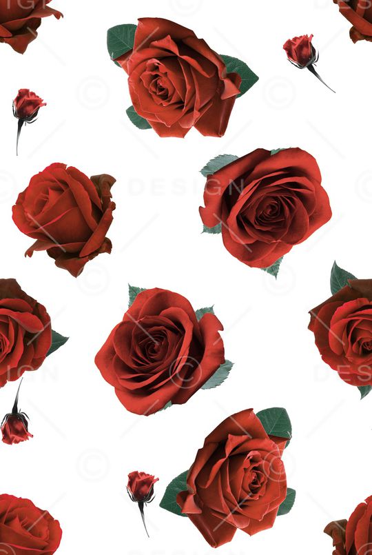 水彩花卉印花华亿平台图片