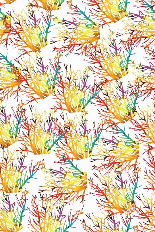 树枝印花华亿平台图片