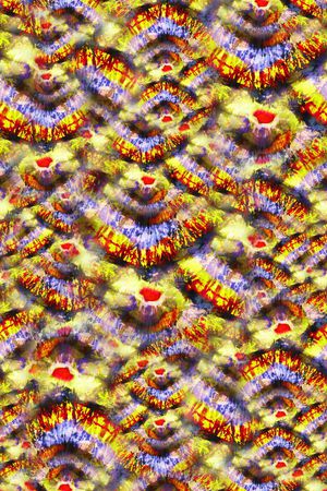 抽象印花华亿平台图片