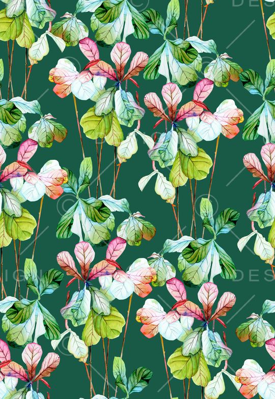 天堂鸟印花华亿平台图片