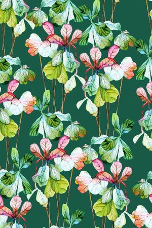 天堂鸟印花华亿平台图片