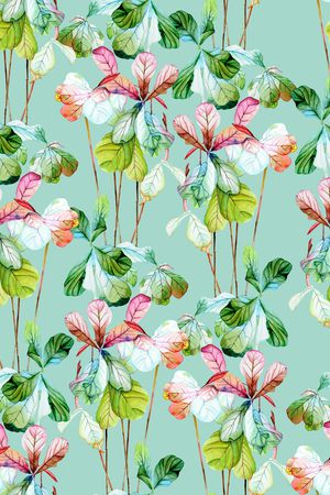 天堂鸟印花华亿平台图片