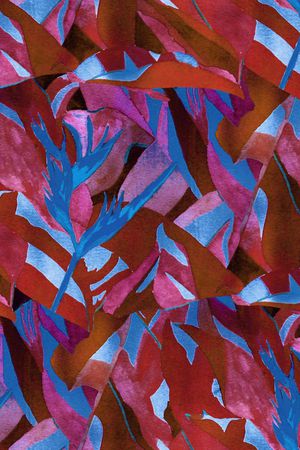 天堂鸟印花华亿平台图片