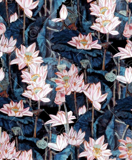 荷花印花华亿平台图片