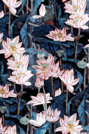 荷花印花华亿平台图片