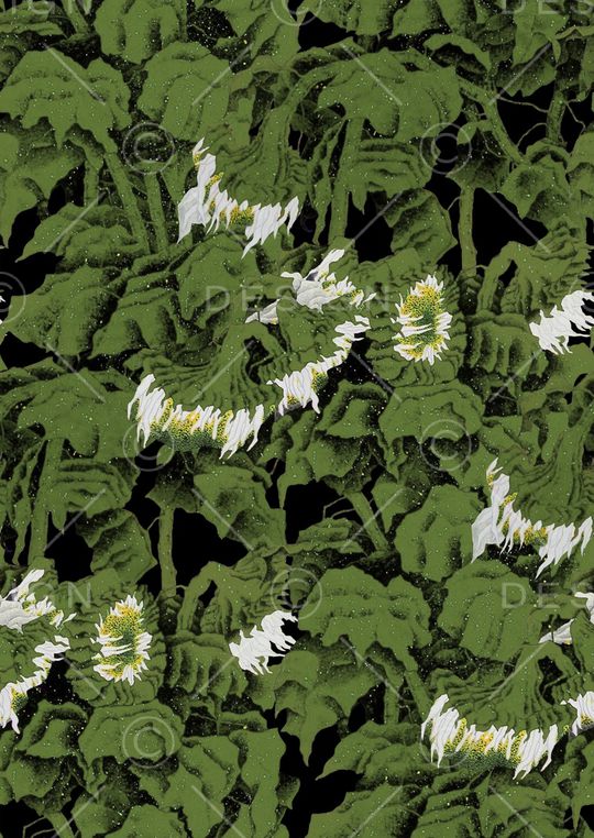 梅花印花华亿平台图片