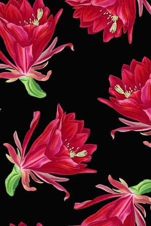 仙人掌花卉印花华亿平台图片